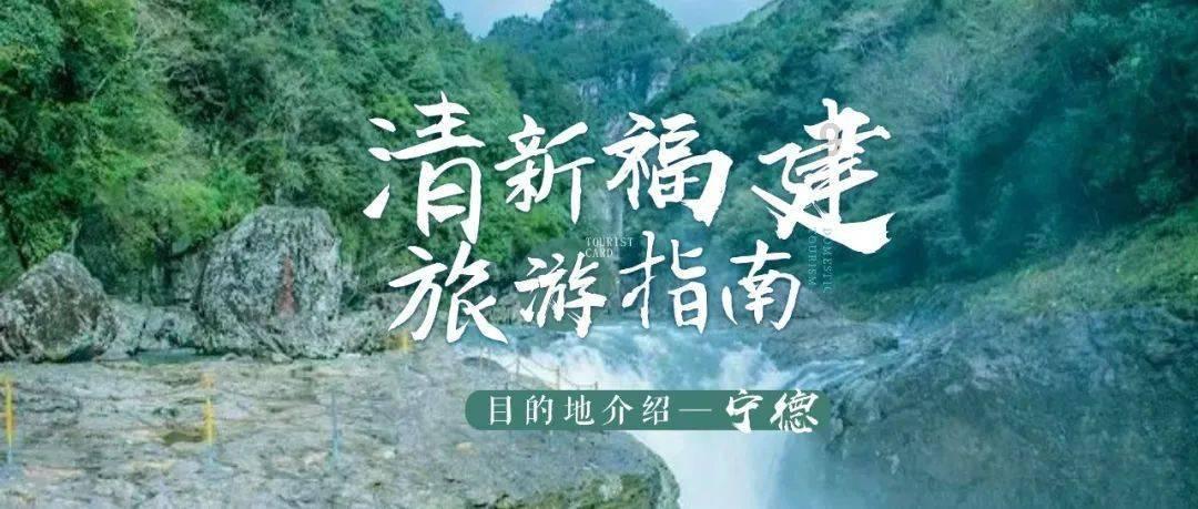 Oppo Reno 11F 5G版本即将发布,发布前泄露关键